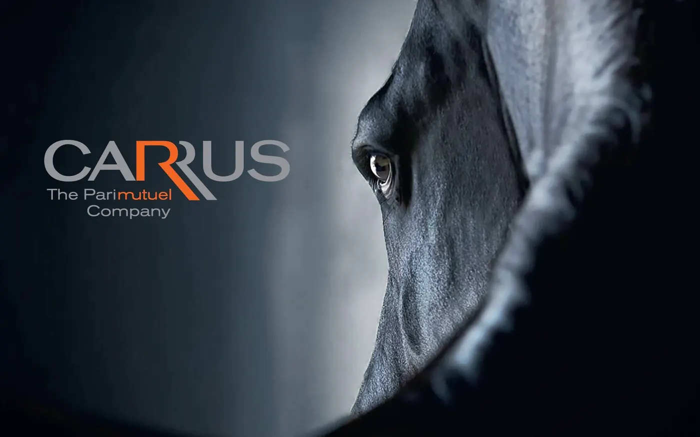 Groupe Carrus